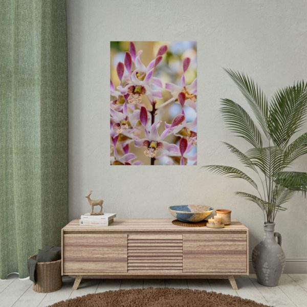 92410-54.jpg Boat Orchid Poster