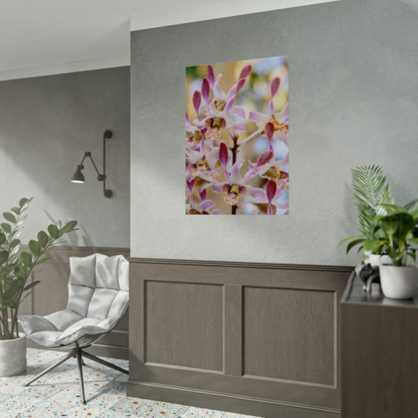 92410-55.jpg Boat Orchid Poster