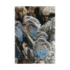 92410-56.jpg Blue Butterflies Poster