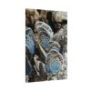 92410-58.jpg Blue Butterflies Poster