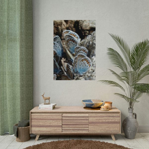 92410-59.jpg Blue Butterflies Poster