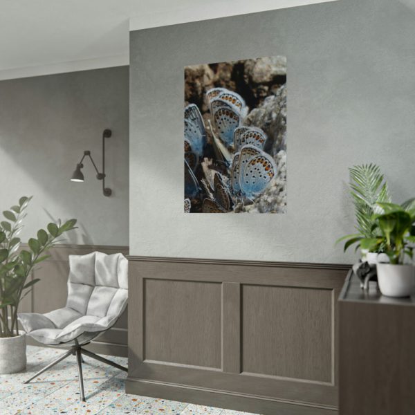 92410-60.jpg Blue Butterflies Poster