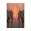 92410-76.jpg Two Elephants in the Zoo Poster