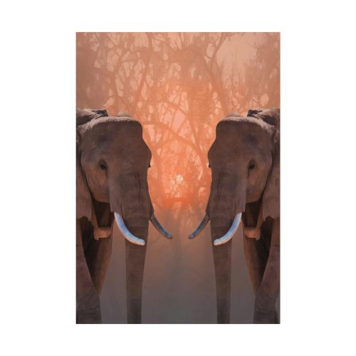 92410-76.jpg Two Elephants in the Zoo Poster