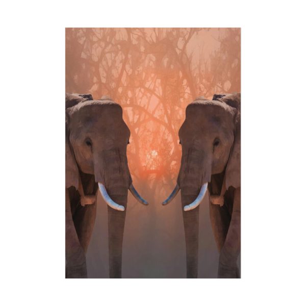 92410-76.jpg Two Elephants in the Zoo Poster