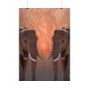 92410-77.jpg Two Elephants in the Zoo Poster