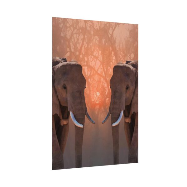 92410-78.jpg Two Elephants in the Zoo Poster