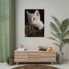 Kitten with Blue Eyes Poster