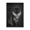 Black Silver Maine Coon Cat Sitting Poster
