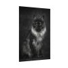 Black Silver Maine Coon Cat Sitting Poster