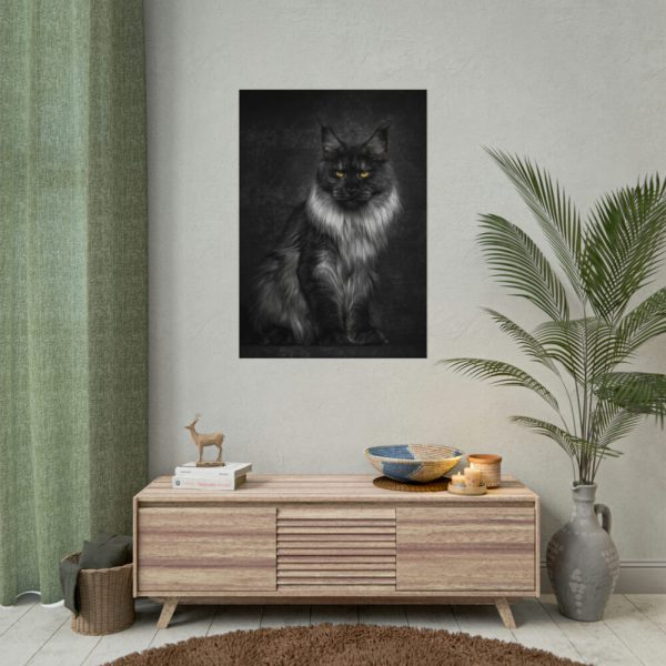 Black Silver Maine Coon Cat Sitting Poster
