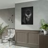 Black Silver Maine Coon Cat Sitting Poster