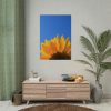 92410-99.jpg Sunflower Blue Sky Poster