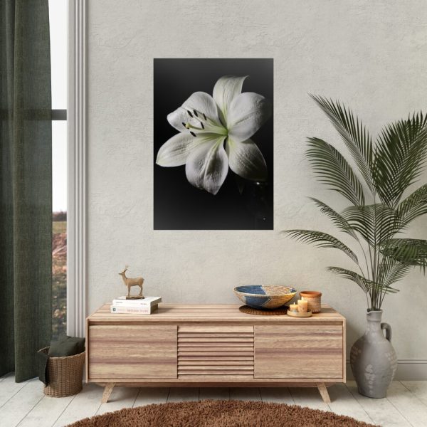 White Lily Poster