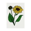 92411-106.jpg Sunflower Illustration Poster