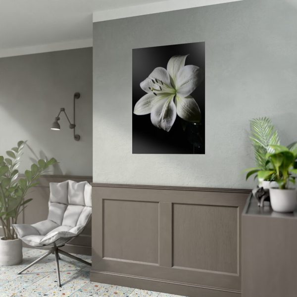 White Lily Poster