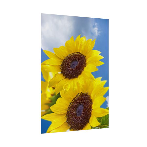 Sunflower Flower Air Clouds Poster