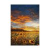 92411-116.jpg Sunrise View Poster