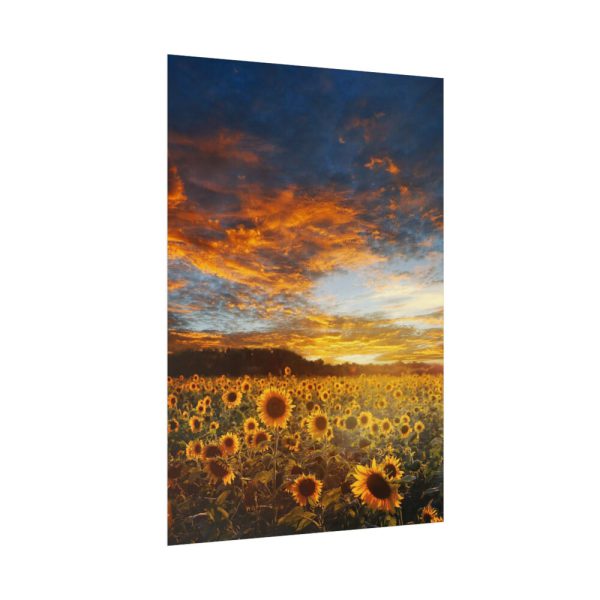 92411-118.jpg Sunrise View Poster