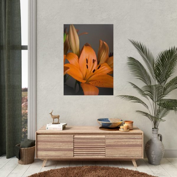 92411-13.jpg Orange Lily Poster