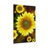 92411-148.jpg Spring Poster
