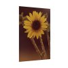 92411-153.jpg The Sunflower is Blooming Poster