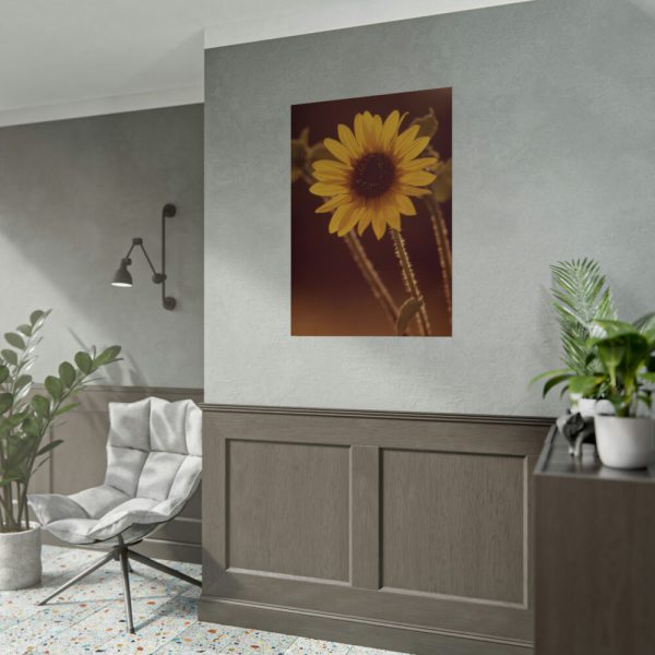 92411-155.jpg The Sunflower is Blooming Poster