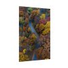 92411-168.jpg Forest in Autumn Colors Poster
