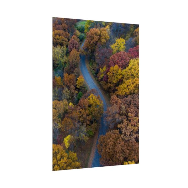 92411-168.jpg Forest in Autumn Colors Poster