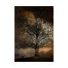 92411-226.jpg Tree Landscape Poster