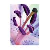 92411-27.jpg Beautiful Lily Poster