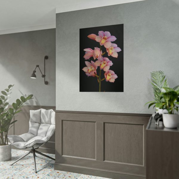 Pink Boat Orchid Poster