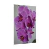 Exotic Orchid   Poster