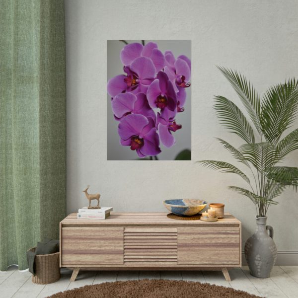 Exotic Orchid   Poster
