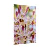 92411-53.jpg Boat Orchid Poster