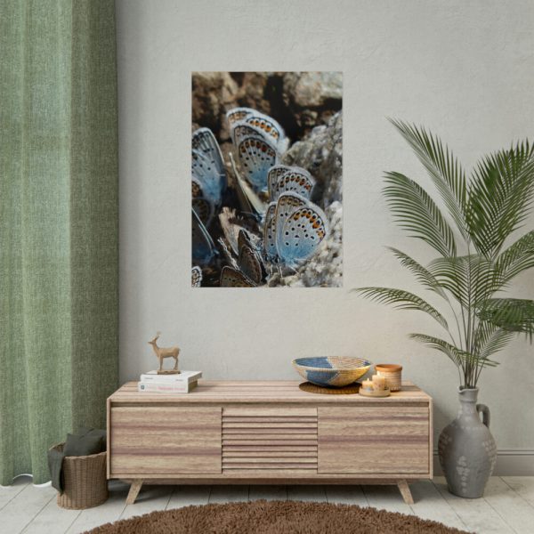 92411-59.jpg Blue Butterflies Poster