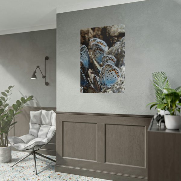 92411-60.jpg Blue Butterflies Poster