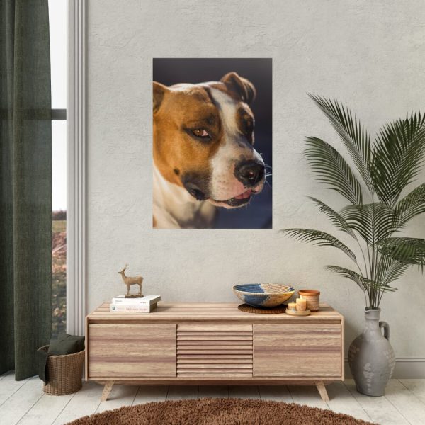 92411-7.jpg Head of the American Stafford Poster