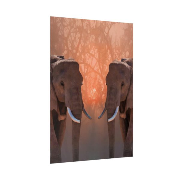 92411-78.jpg Two Elephants in the Zoo Poster