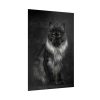 Black Silver Maine Coon Cat Sitting Poster