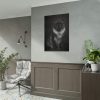 Black Silver Maine Coon Cat Sitting Poster