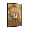 Lion Closeup Africa Framed Poster