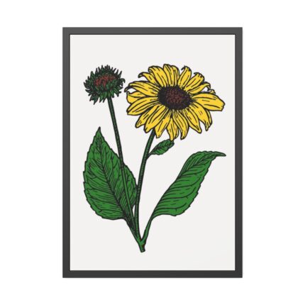 Sunflower Illustration Framed Poster
