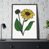 93830-103.jpg Sunflower Illustration Framed Poster