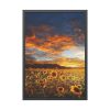 Sunrise View Framed Poster