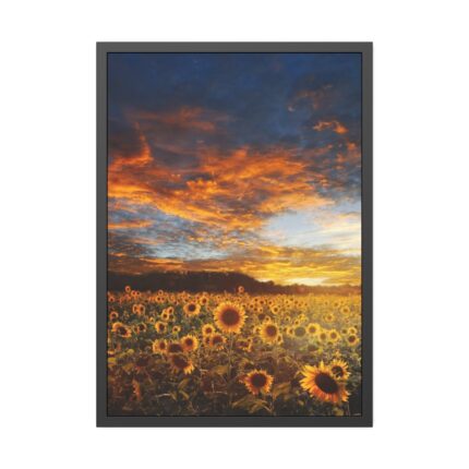Sunrise View Framed Poster