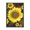 93830-124.jpg Spring Framed Poster
