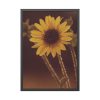 93830-128.jpg The Sunflower is Blooming Framed Poster