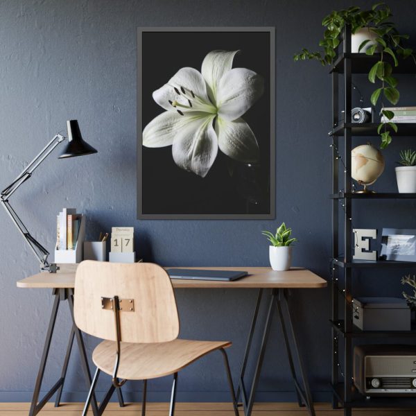 White Lily Framed Poster