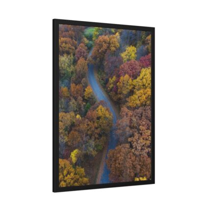 Forest in Autumn Colors Framed Poster